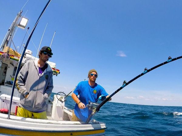 Wicked Tuna - Leise Laute in der Flaute