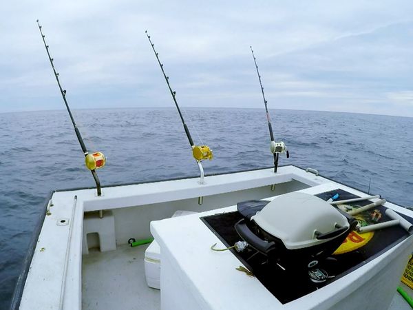 Wicked Tuna - Haben oder nicht haben