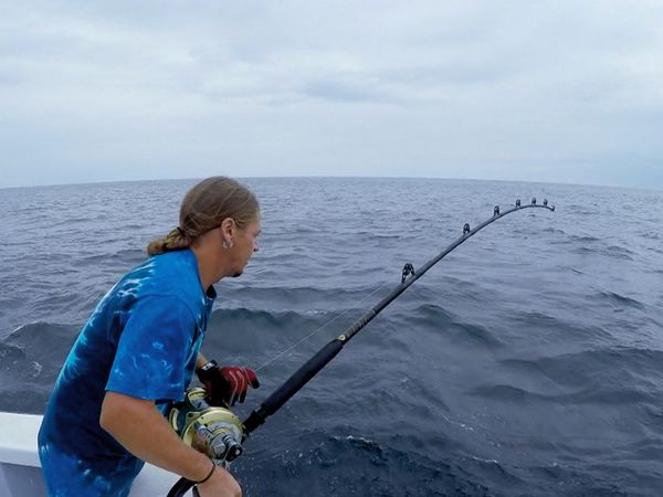 Wicked Tuna - Eine schlechte Entscheidung