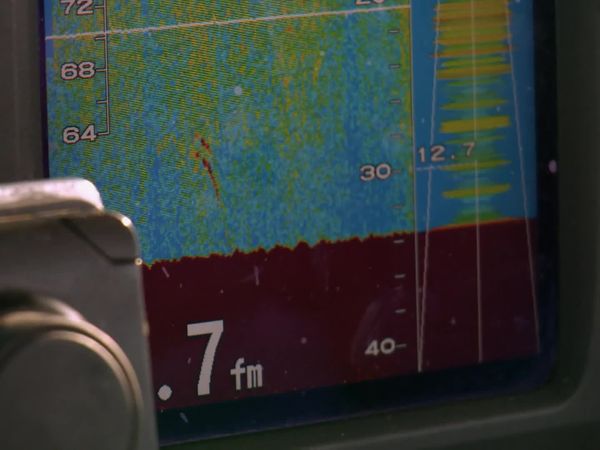 Wicked Tuna - Action in Maine (The Maine Event)