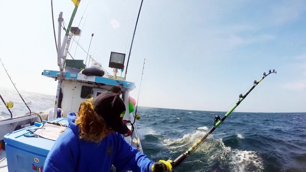 Wicked Tuna - Hai am Haken (When Push Comes To Shove)