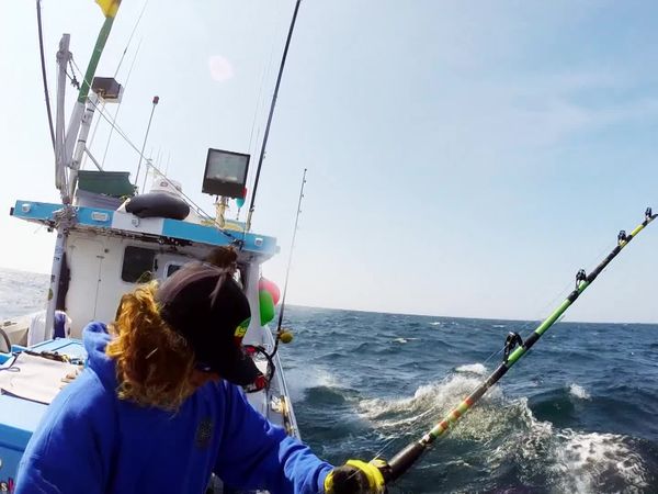 Wicked Tuna - Hai am Haken (When Push Comes To Shove)