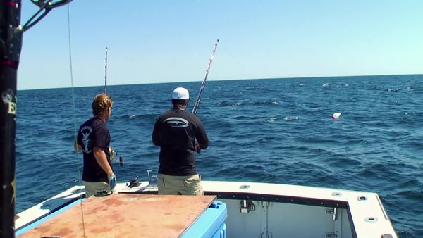 Wicked Tuna - Kampf um die Spitze (Tuna Trifecta)