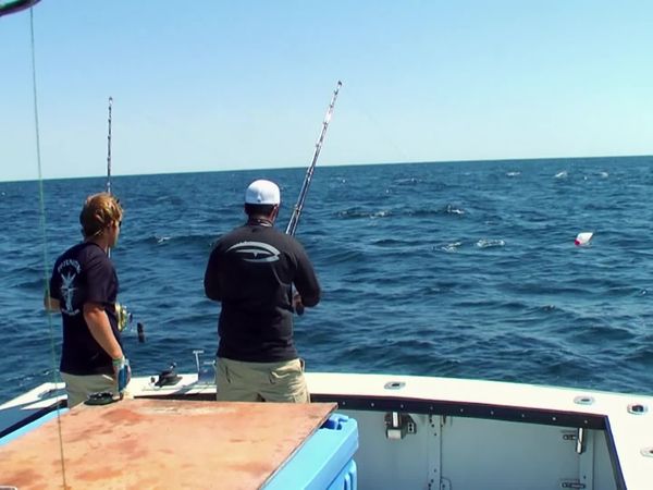 Wicked Tuna - Kampf um die Spitze (Tuna Trifecta)