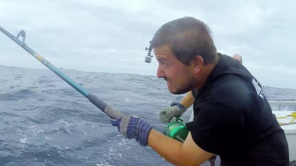 Wicked Tuna - Meister der Blauflossen