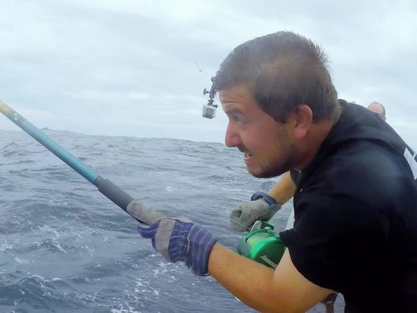 Wicked Tuna - Meister der Blauflossen