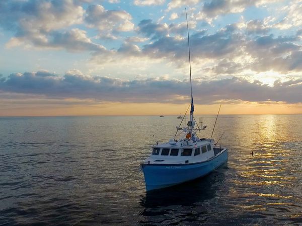 Wicked Tuna - Tritt der Crew bei