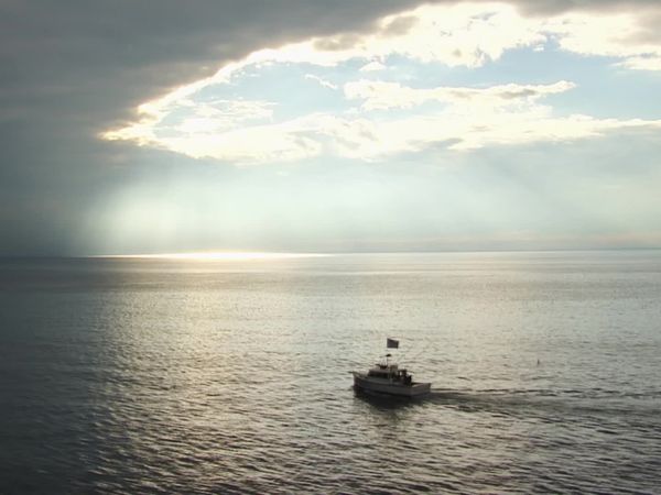 Wicked Tuna - Kopf-an-Kopf-Rennen