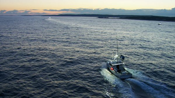 Wicked Tuna - Beweisprobe