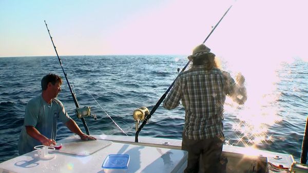 Wicked Tuna - Ein Fisch am Haken