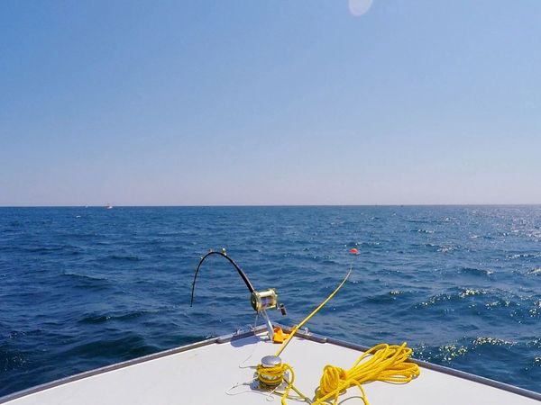 Wicked Tuna - Schlechtesten zum Ersten