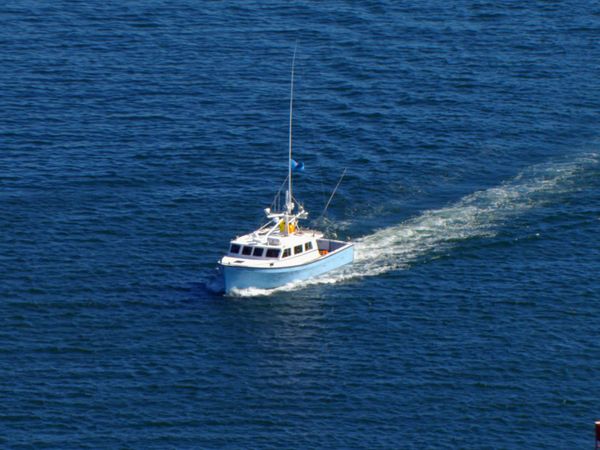 Wicked Tuna - Aufholjagd