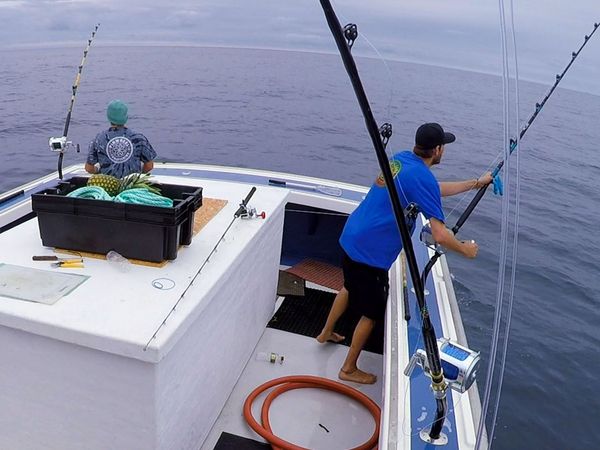 Wicked Tuna - Ohne Fisch, kein Moos