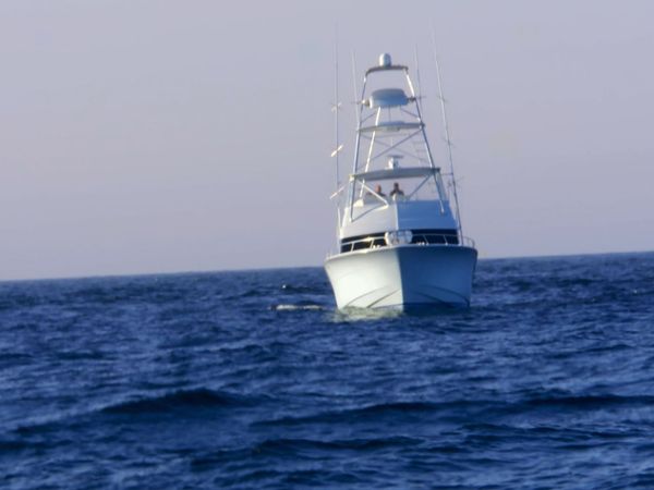 Wicked Tuna - Neue Konkurrenz