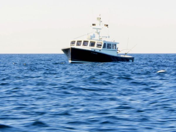 Wicked Tuna - Ein riskanter Deal