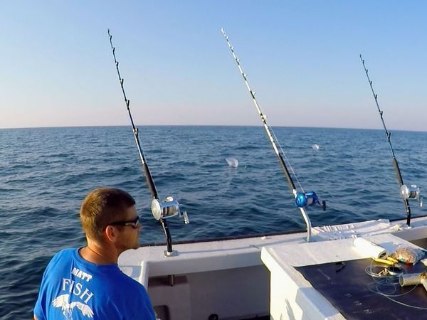 Wicked Tuna - Die Flotte schlägt zurück