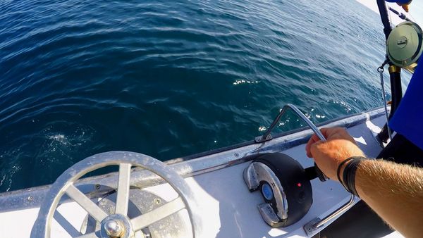 Wicked Tuna - Teamwork