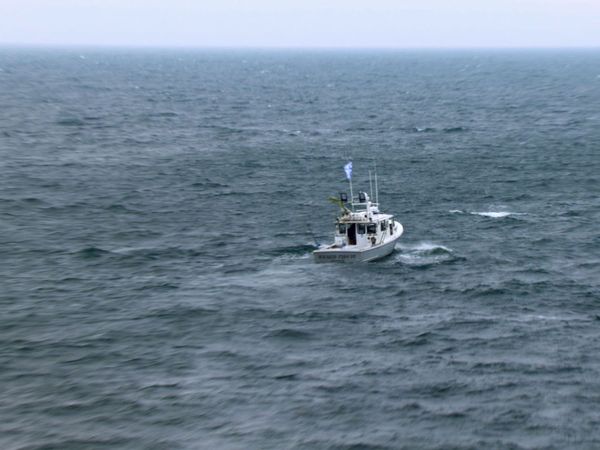 Wicked Tuna - Eine böse Überraschung