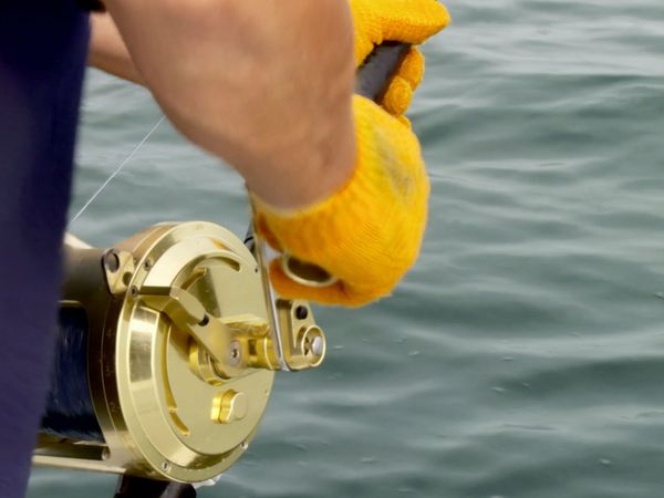 Wicked Tuna - Neue Regeln