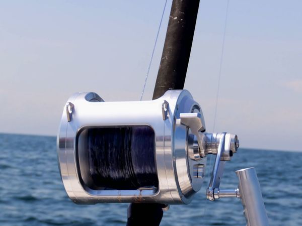 Wicked Tuna - Endspiel