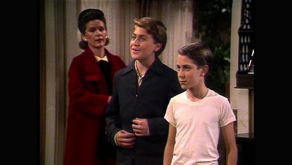 Family Ties - Remembrance of Things Past: Part 2