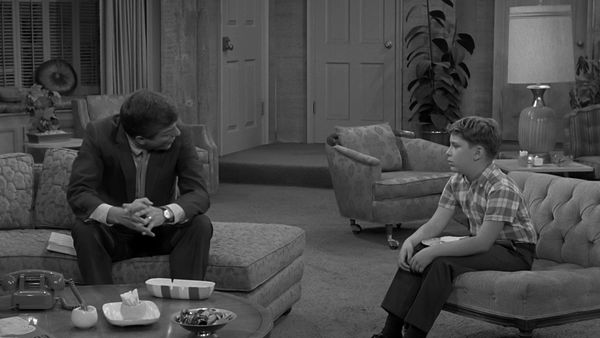 The Dick Van Dyke Show - Go Tell the Birds and the Bees