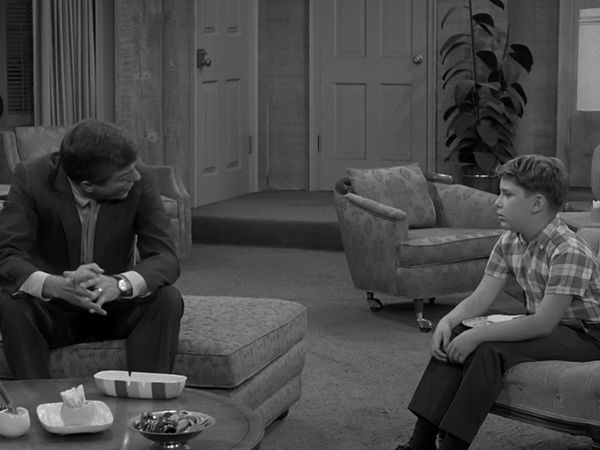 The Dick Van Dyke Show - Go Tell the Birds and the Bees