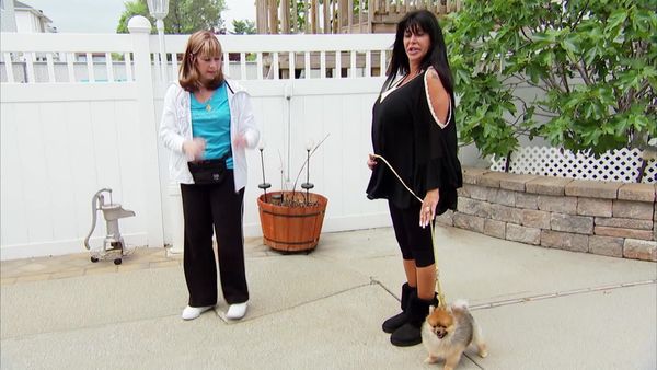 Big Ang - Big Dogs