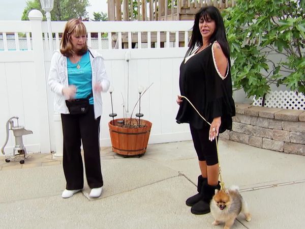 Big Ang - Big Dogs