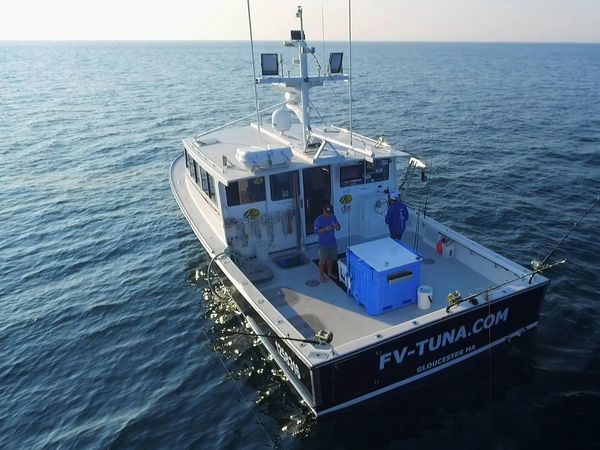 Wicked Tuna - Schlachtruf