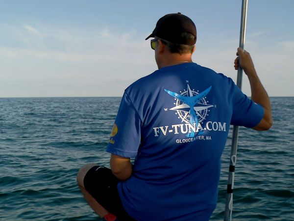 Wicked Tuna - Auf die Flossen, fertig, los