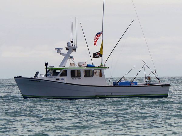 Wicked Tuna - Thunfisch-Götter
