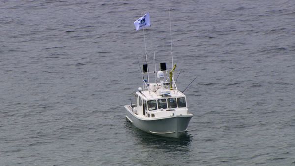 Wicked Tuna - Wahnsinn