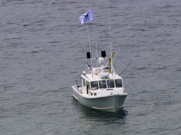Wicked Tuna - Wahnsinn