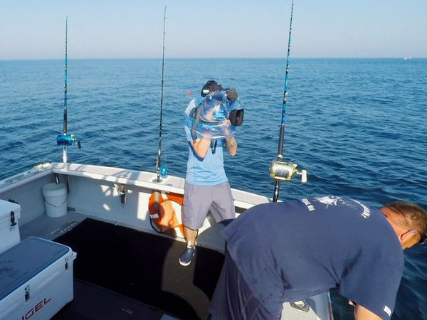 Wicked Tuna - Doppelt hält besser