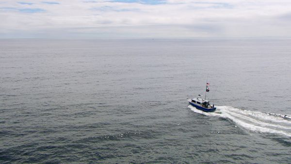 Wicked Tuna - Wahnsinnige Wellen