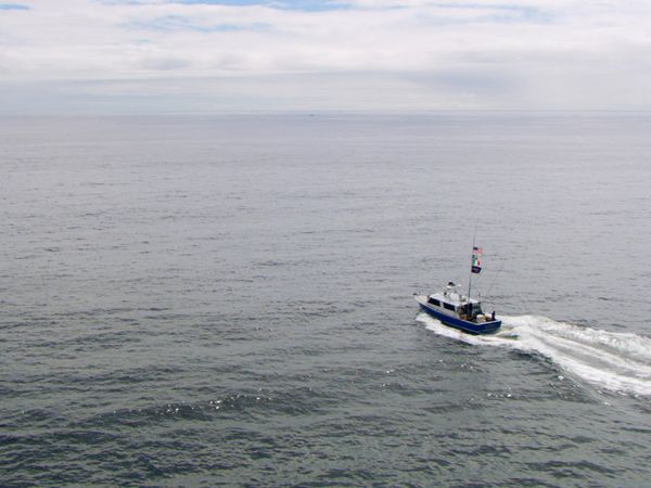 Wicked Tuna - Wahnsinnige Wellen