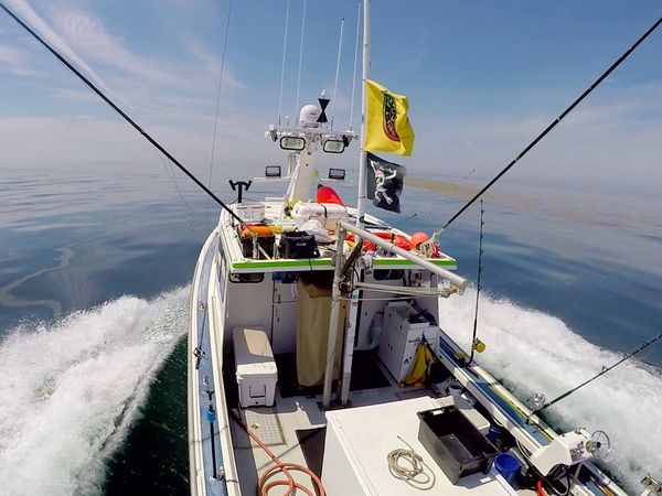 Wicked Tuna - Dem Ziel so nah