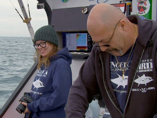 Wicked Tuna - Finale Fische