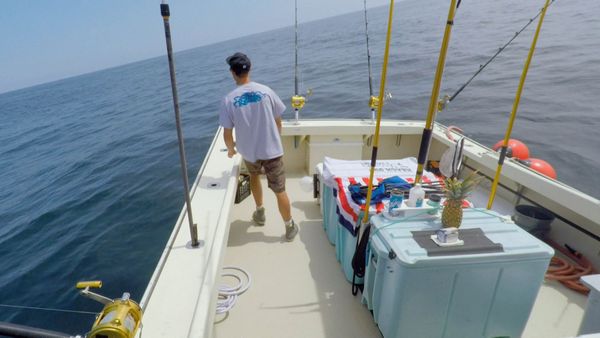Wicked Tuna - Krieg auf dem Wasser