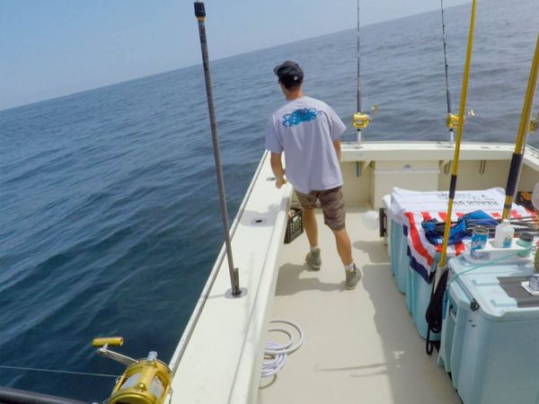 Wicked Tuna - Krieg auf dem Wasser