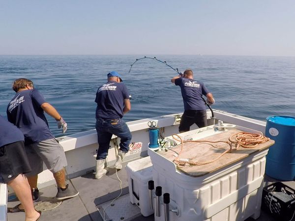 Wicked Tuna - Die Brüderbande