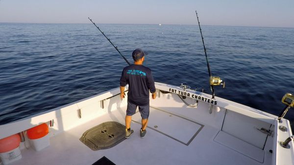 Wicked Tuna - Folge den Anführern