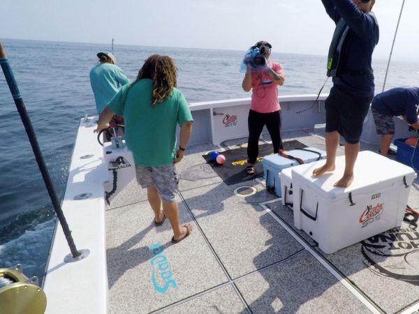 Wicked Tuna - Ananas-Mafia