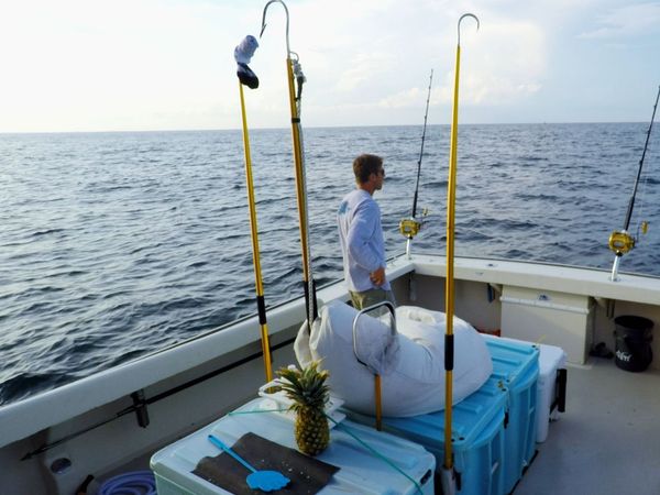 Wicked Tuna - Stoßzeit