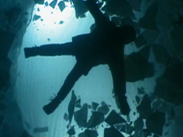 Critical Rescue - Morsa di ghiaccio