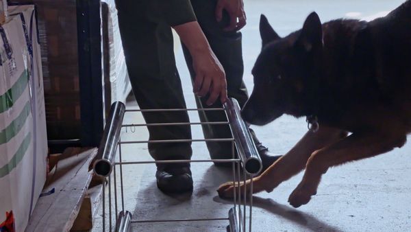 ¡ALTO! Frontera - Episodio 1