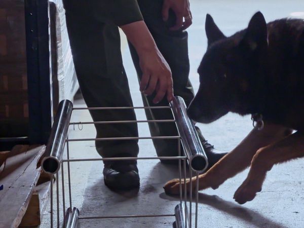 ¡ALTO! Frontera - Episodio 1