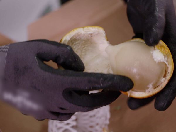 ¡ALTO! Frontera - Episodio 14