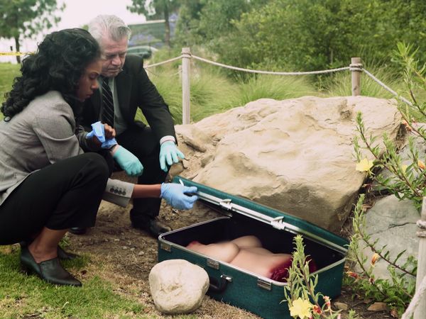 Bizarre Murders - Episode 152